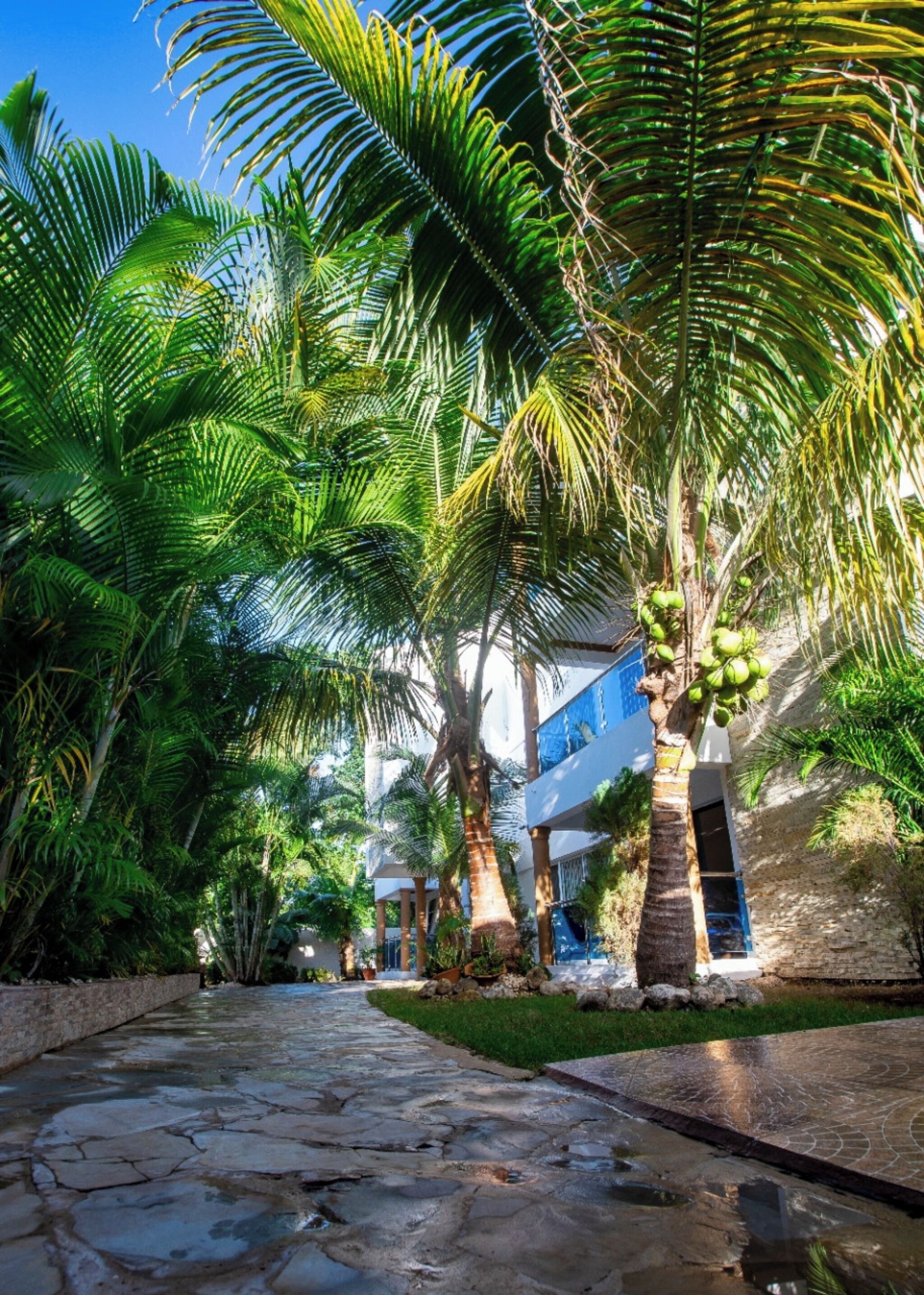Condo, 1 Bedroom, Accessible, Smoking | Garden