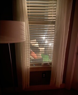 Enjoy a peaceful view of the lush lawn and surrounding buildings from this room's window.