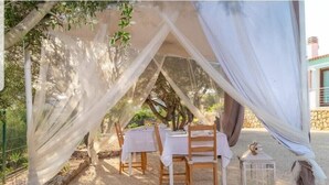 An outdoor dining area with tables and chairs under a canopy. - The starfish room (Palau)