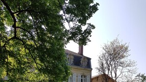 A house with a gravel driveway, a dog in the foreground, and a garden with potted plants. - Orangerie. (Saint-Justin)