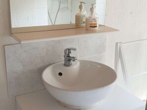 A bathroom with a white sink, a mirror, and two bottles of liquid soap on a shelf above the sink. - Duplex for 6/7, city center, near cable car (Cauterets)
