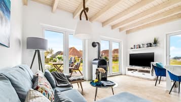 Televisión, chimenea y libros