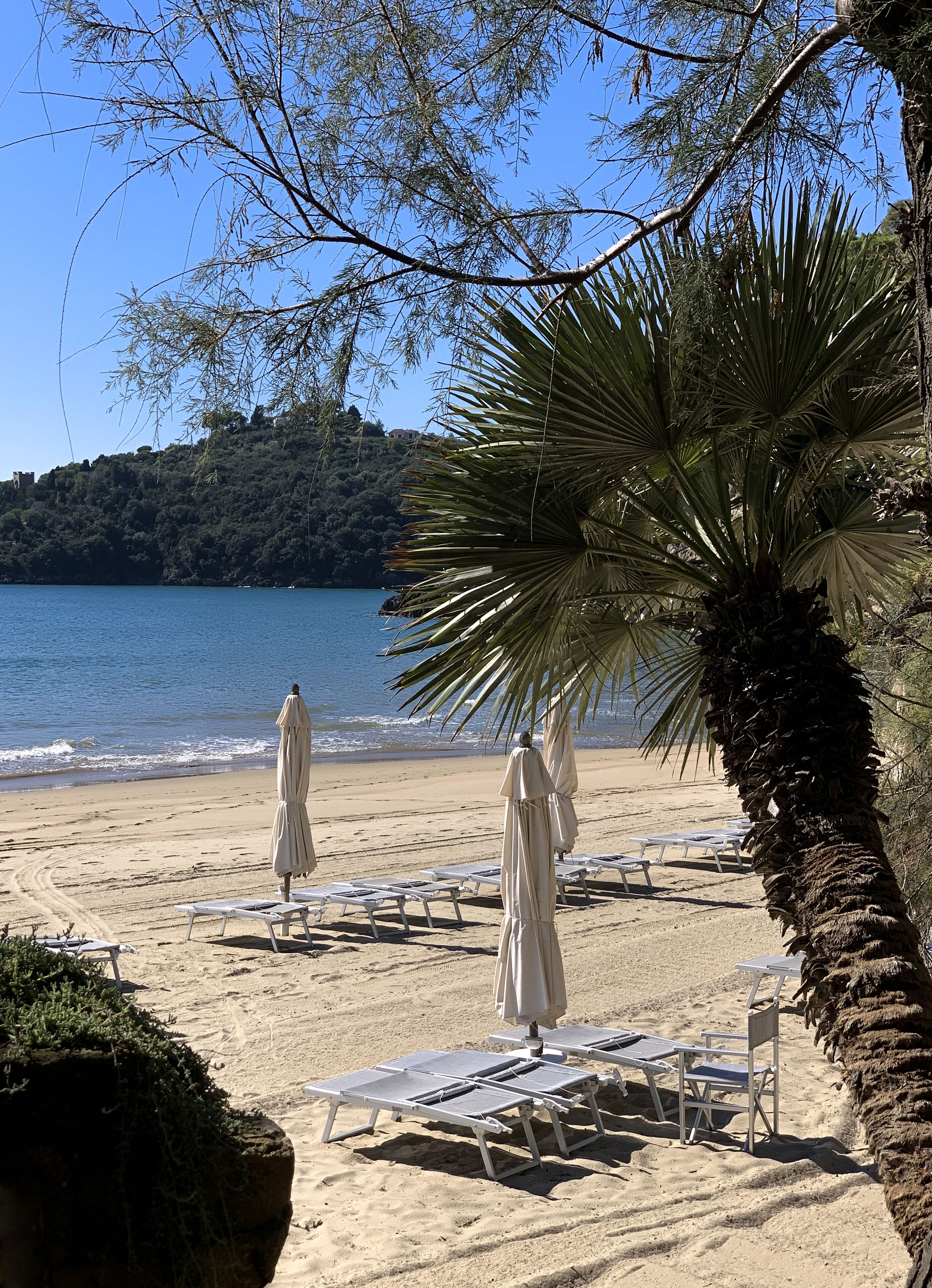Une plage avec des chaises longues et des parasols, un palmier, et une vue sur la mer et les collines en arrière-plan.