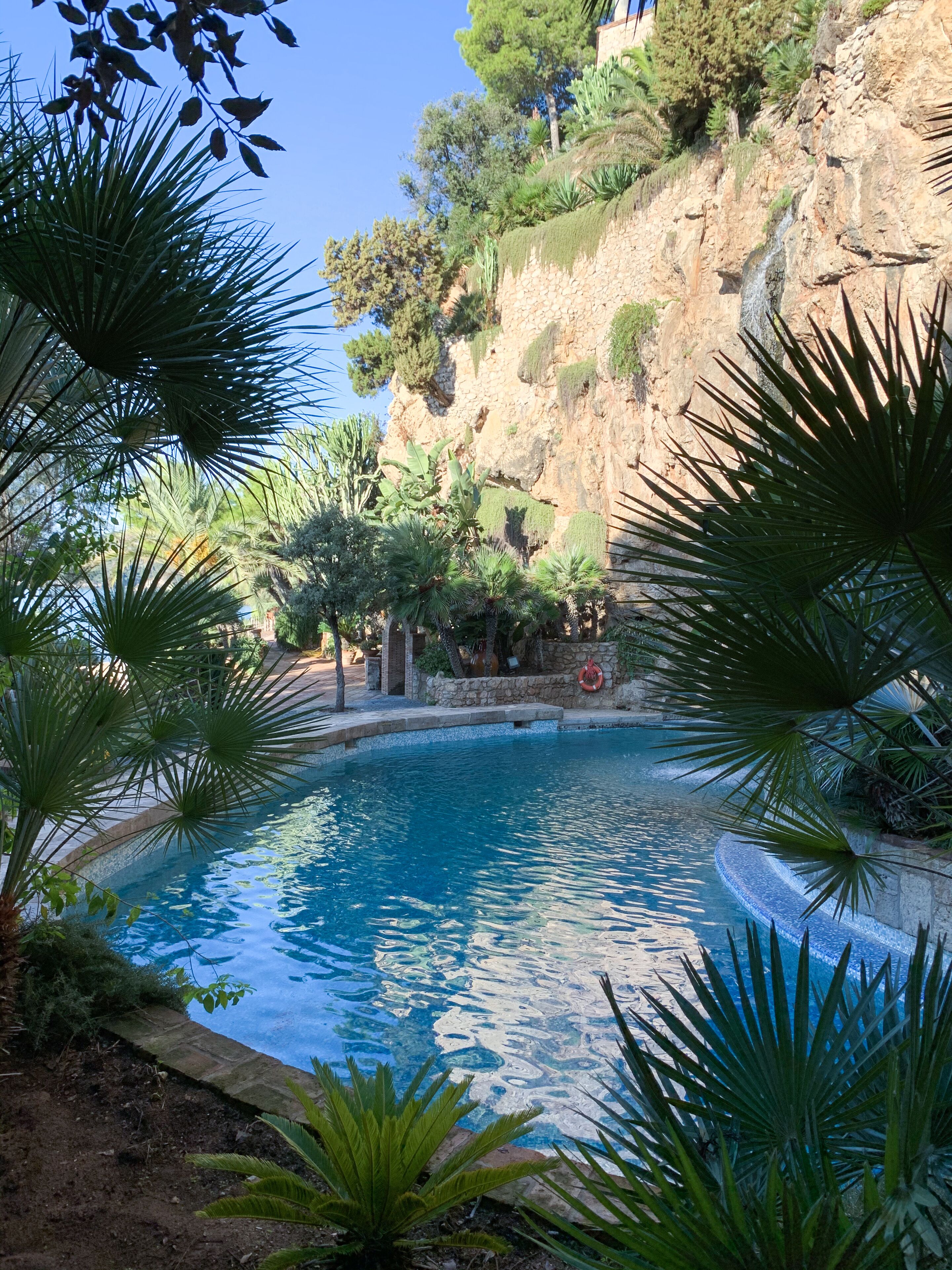 Una piscina rodeada de plantas tropicales y un acantilado rocoso.