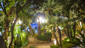 A stone pathway leading through a lush garden with palm trees and well-lit areas. - Aeneas' Landing Resort (Gaeta)