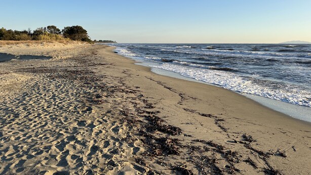 Een strand met zand, zeewier en golven.