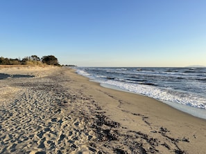 Plage à proximité