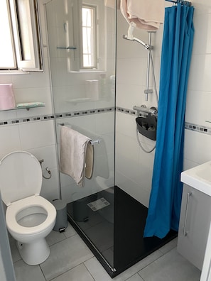 Douche, séchoir à cheveux, savon, papier de toilette