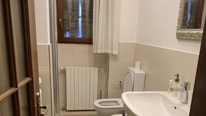 A bathroom with a toilet, a sink, a mirror, and a shower. - San Marco Charming Suite apartment (Venezia)