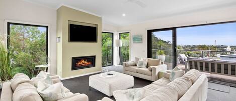 TV, fireplace
