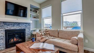 Smart TV, fireplace, books