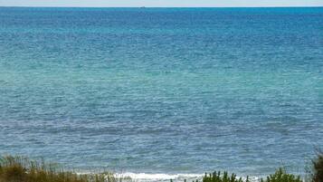 Una spiaggia nelle vicinanze