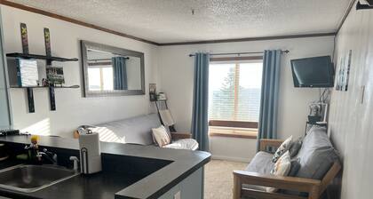 Ski In/ Ski Out 1 BR Condo With Amazing Views!