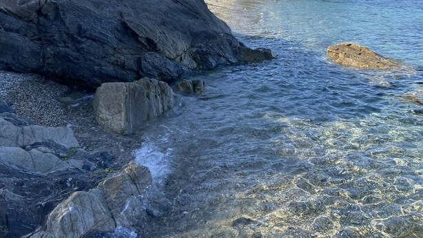 Eine felsige Küste mit klarem Wasser, ein Gebäude auf einer Klippe und eine Palme.