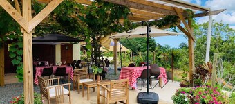 Chateau d'Amelia Winery and Vineyard - Puerto Rico family own winery