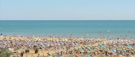 Una spiaggia nelle vicinanze