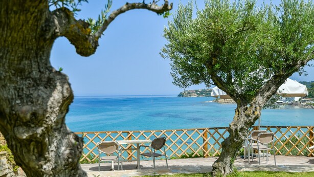 Eine Terrasse mit Meerblick, mit Holzzaun, Tisch und Stühlen sowie einem Baum.