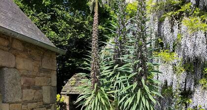 Maison en pierres rénovée, Plouzelambre, CÎtes d'Armor