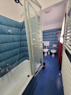 Combined shower/tub, hair dryer, bidet, towels