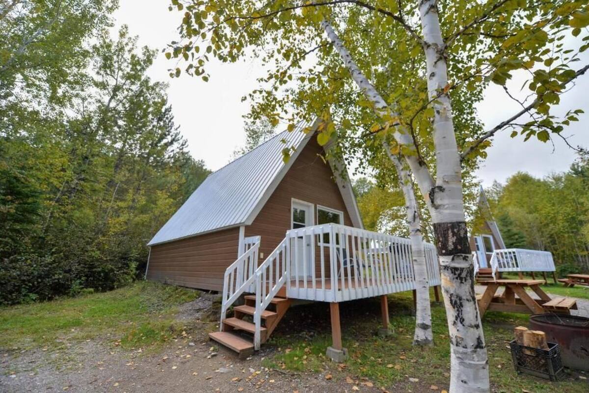 Allergikerbettwaren, Daunenbettdecken