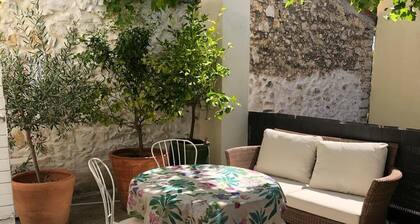 Charming house in the heart of the village with leafy courtyard garden & terrace