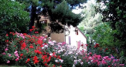 APP. in the MARCHIGIAN COUNTRY, Familiar