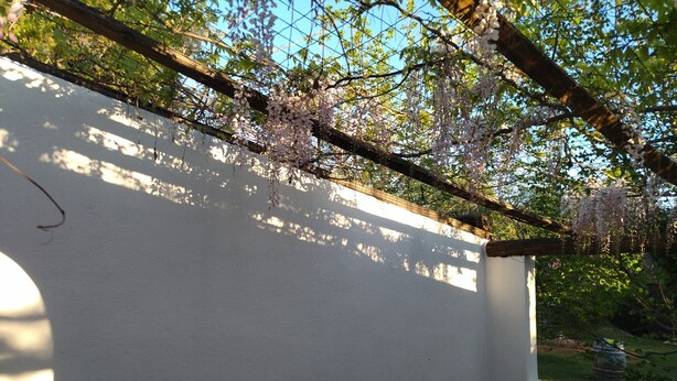 A covered patio with a white wall, two blue chairs, and a pergola with hanging flowers. - Charming studio 25 min from vallon pont d'arc (Le Garn)