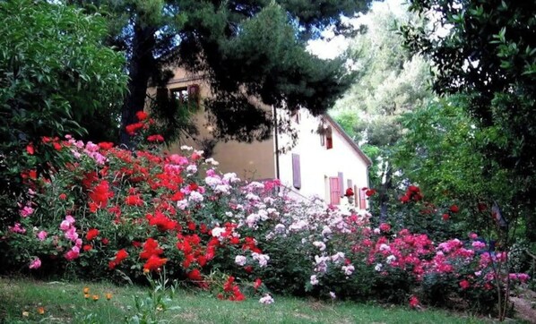 Property grounds - APP. in the MARCHIGIAN COUNTRY, Multifamily (Marche)