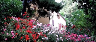 APP. in the MARCHIGIAN COUNTRY, Multifamily