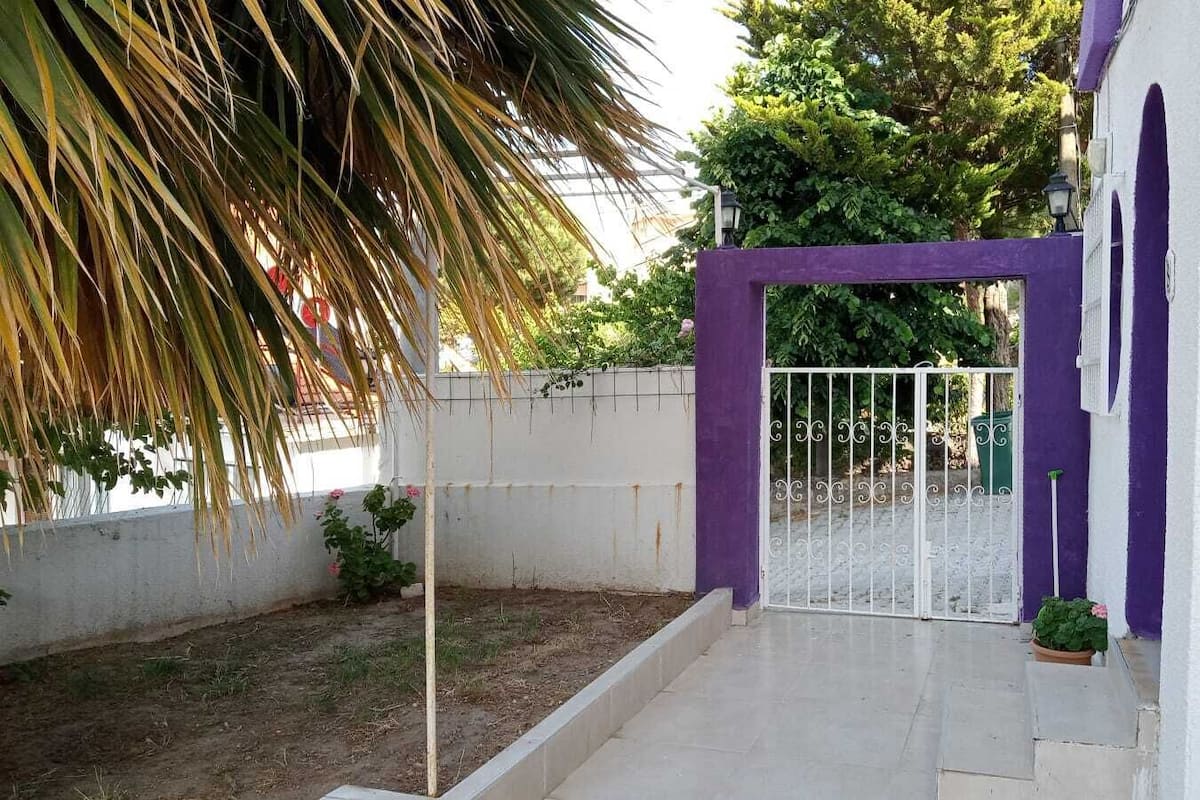 A gated entrance with a white gate, a concrete pathway, and a small garden area with a palm tree and potted plants.