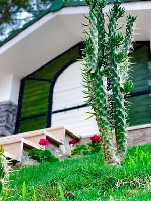 Property entrance - Beacon Hill Suites  (Ula)