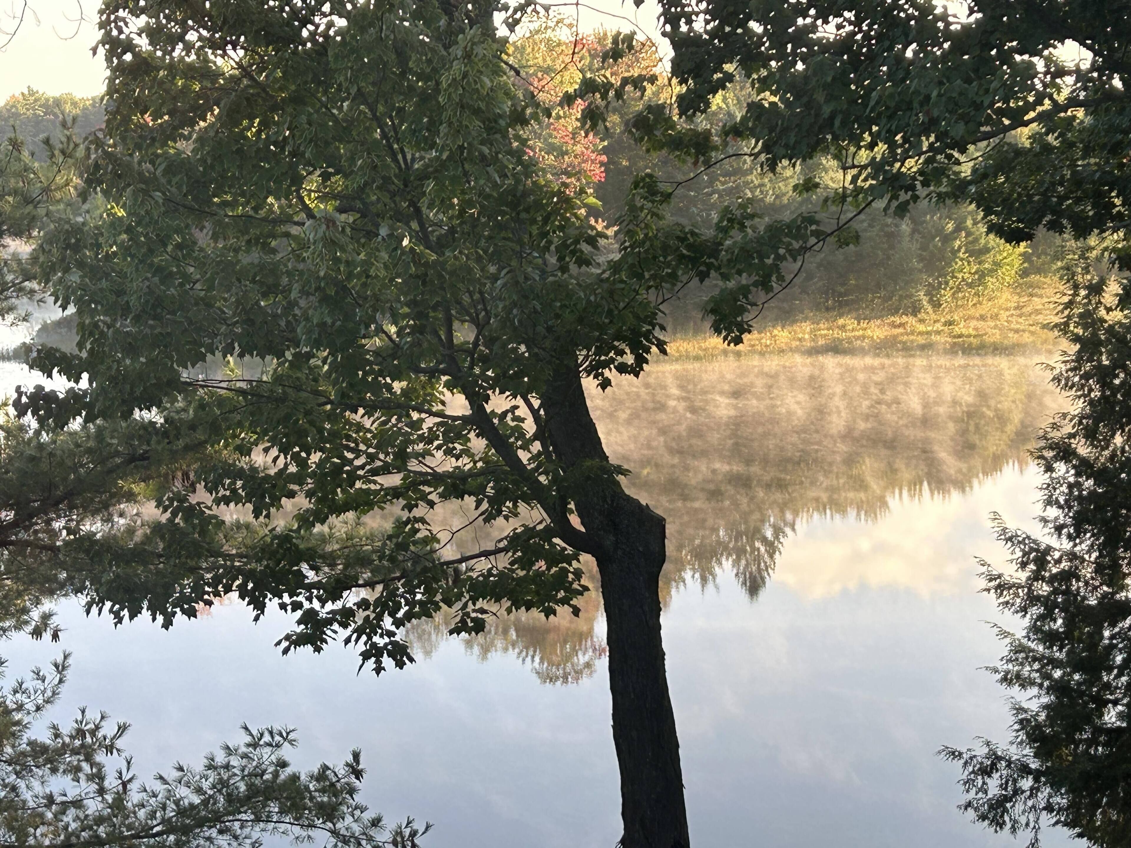 A serene lake surrounded by trees with reflections of the foliage.