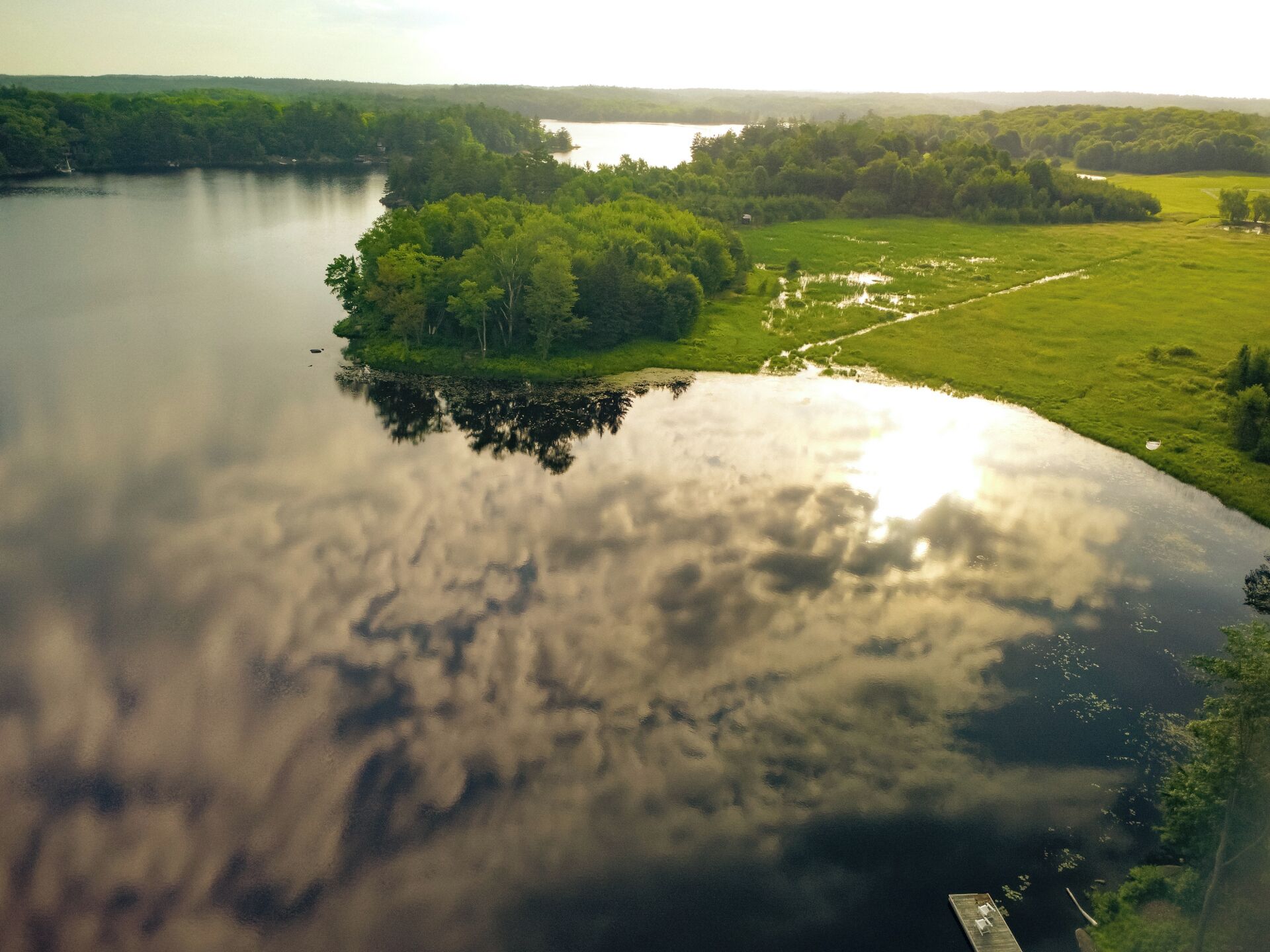 Un paysage paisible au bord d’un lac, avec une jetée qui s’avance dans l’eau, entouré d’une végétation luxuriante et sous un ciel dégagé.