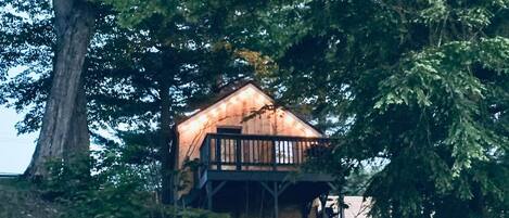 A cabin nestled in a forest, surrounded by trees and foliage.