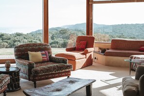 TV connectée, cheminée, lecteur de DVD, livres