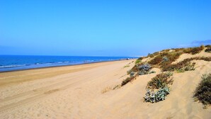 A sandy beach with dunes and sparse vegetation.