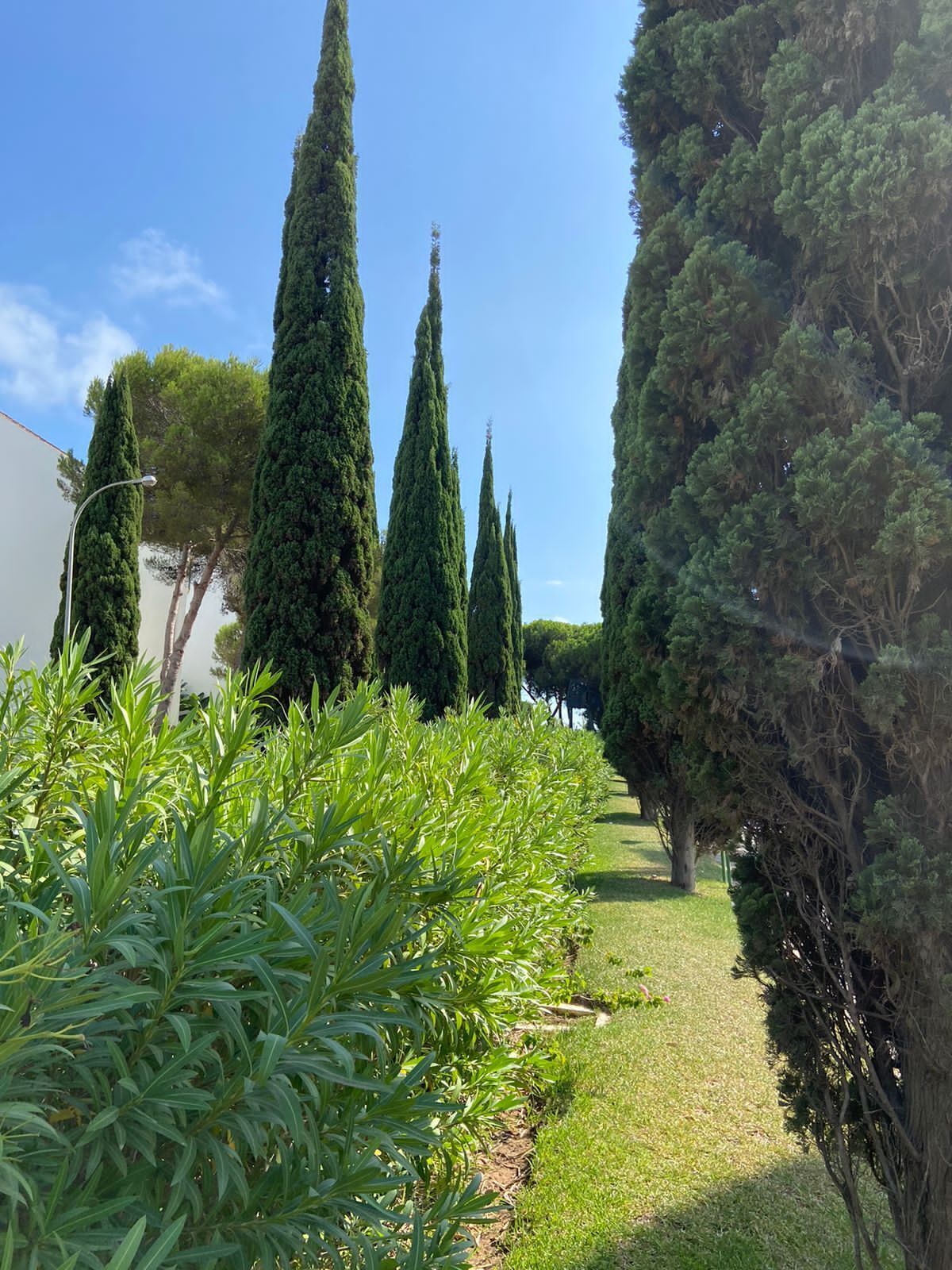 Terrein van de accommodatie