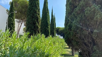 Jardines del alojamiento