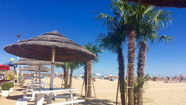 A beach with thatched umbrellas, palm trees, and picnic tables. - Ivana condo about 50mt from the sea in central area (Bibione)