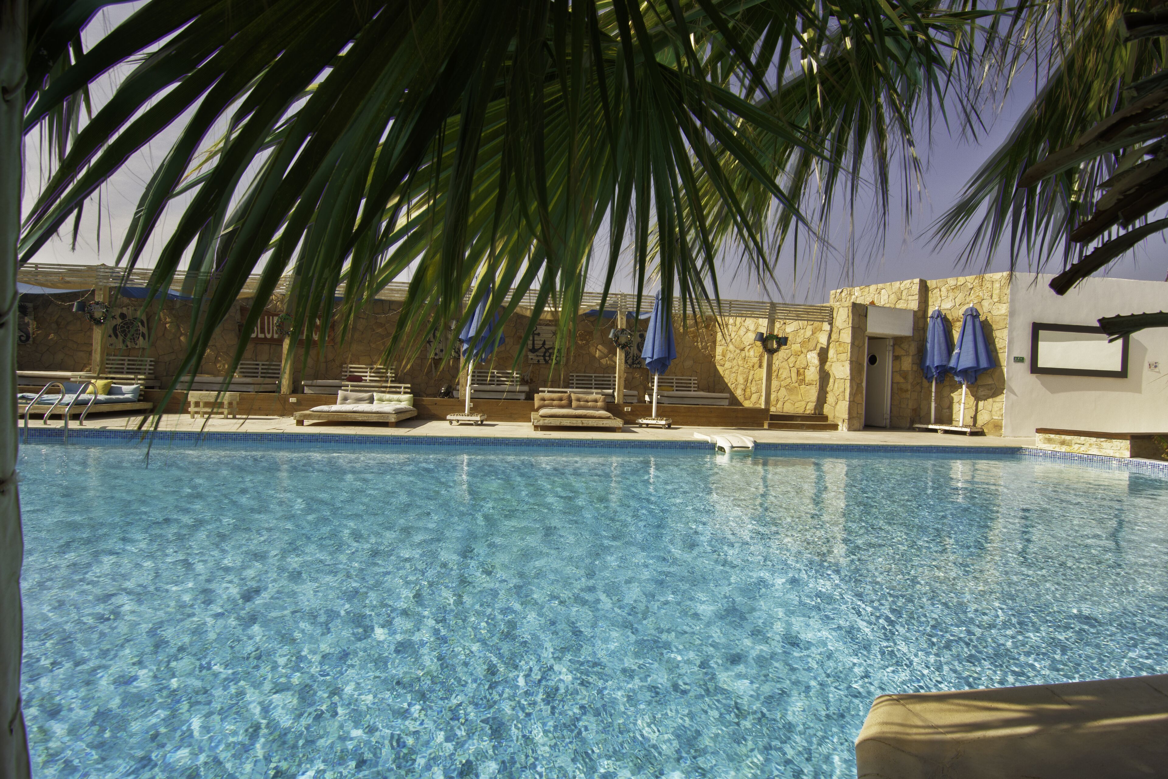 A clear swimming pool with lounge chairs and umbrellas, surrounded by stone walls and palm trees.