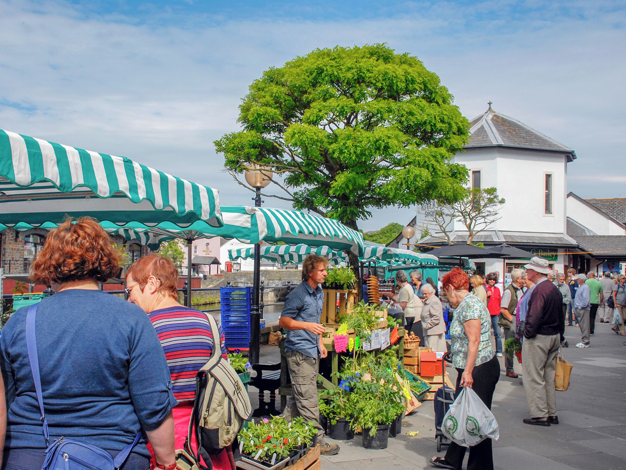 Een open markt met verkopers en klanten, omringd door gebouwen en een grote boom.