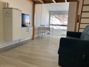 Télévision