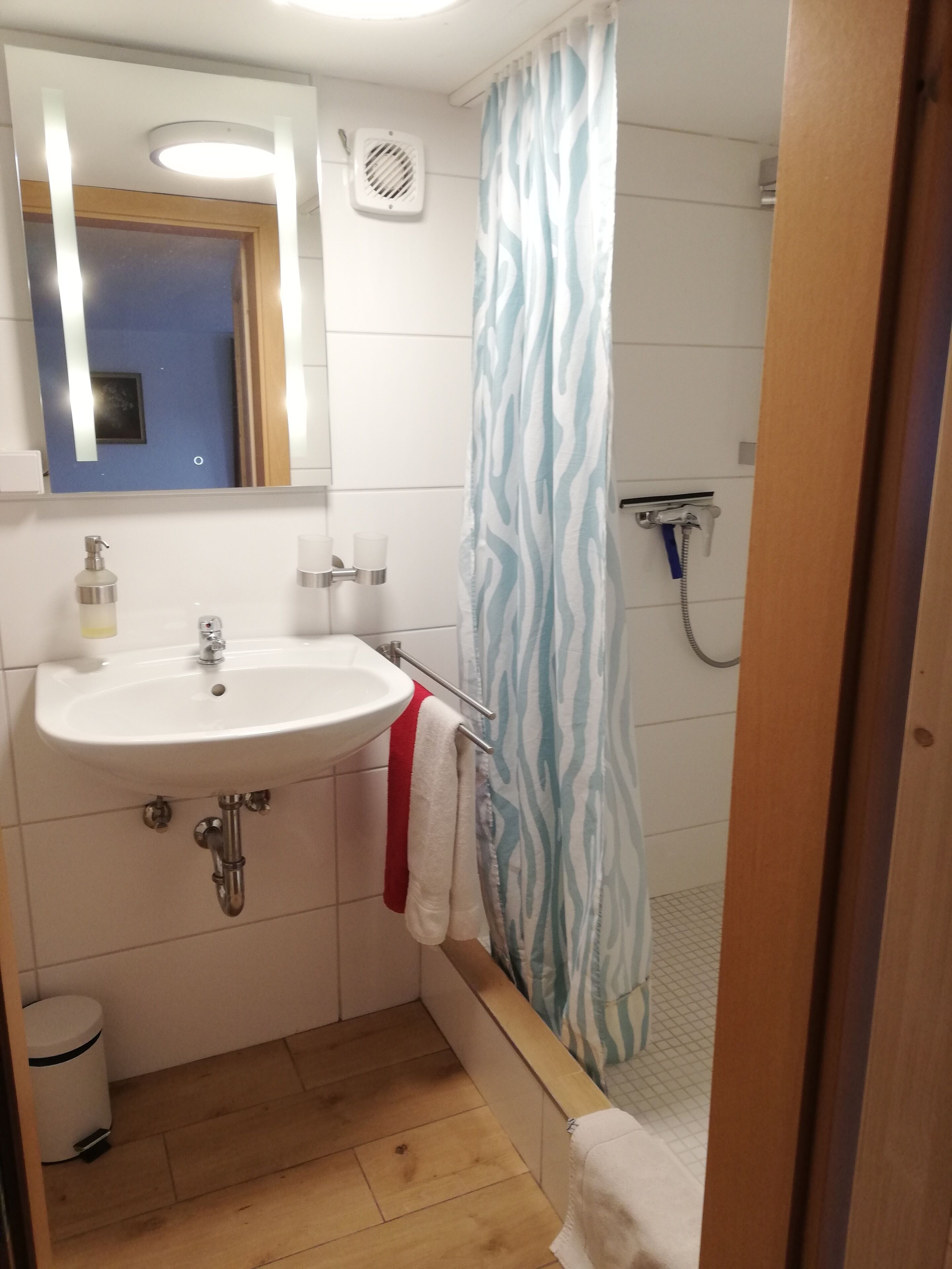 A bathroom with a white sink, a mirror, a shower with a zebra-patterned curtain, and a towel rack.