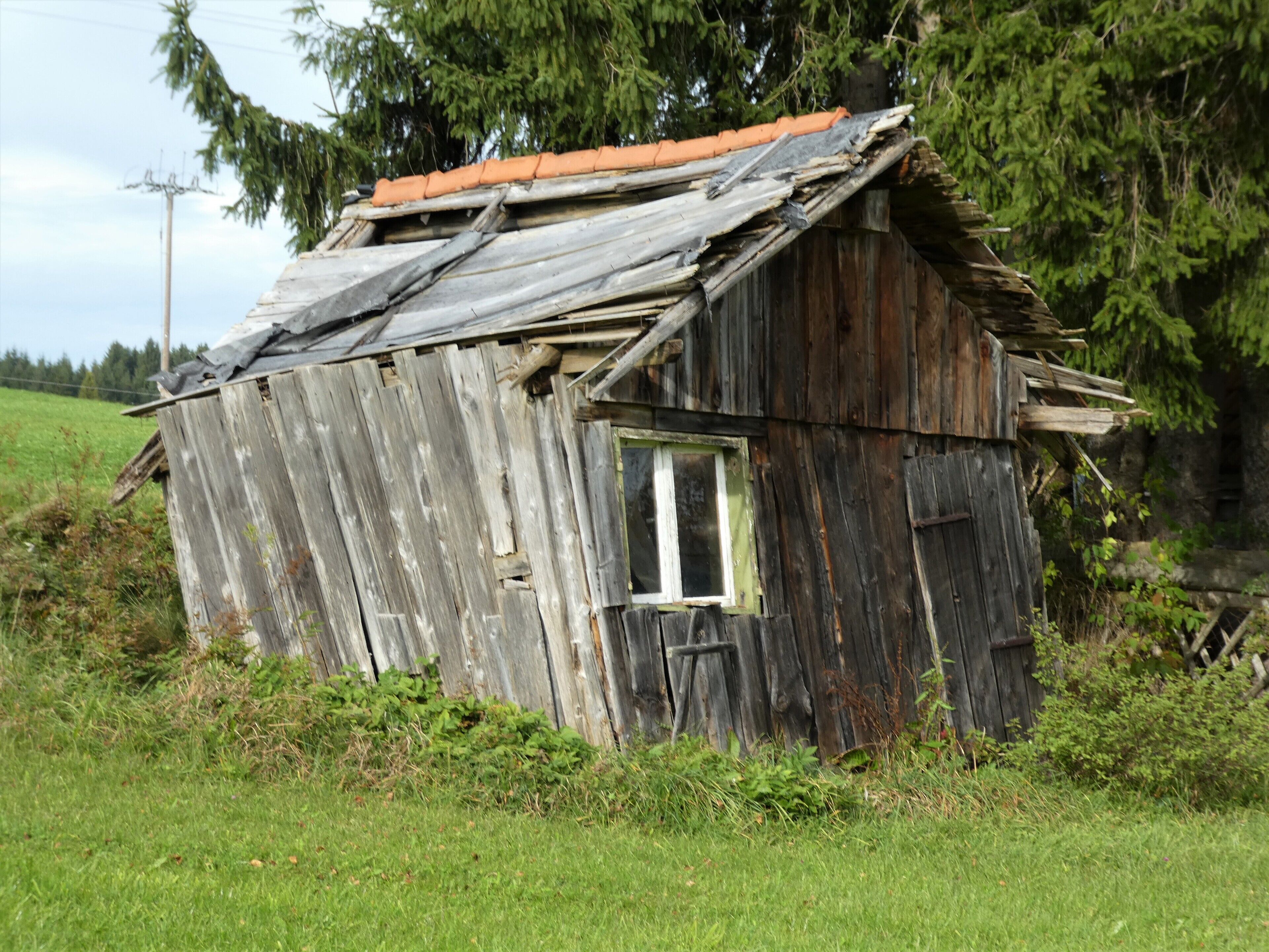 A dilapidated wooden structure with a slanted roof and a single window, surrounded by greenery.