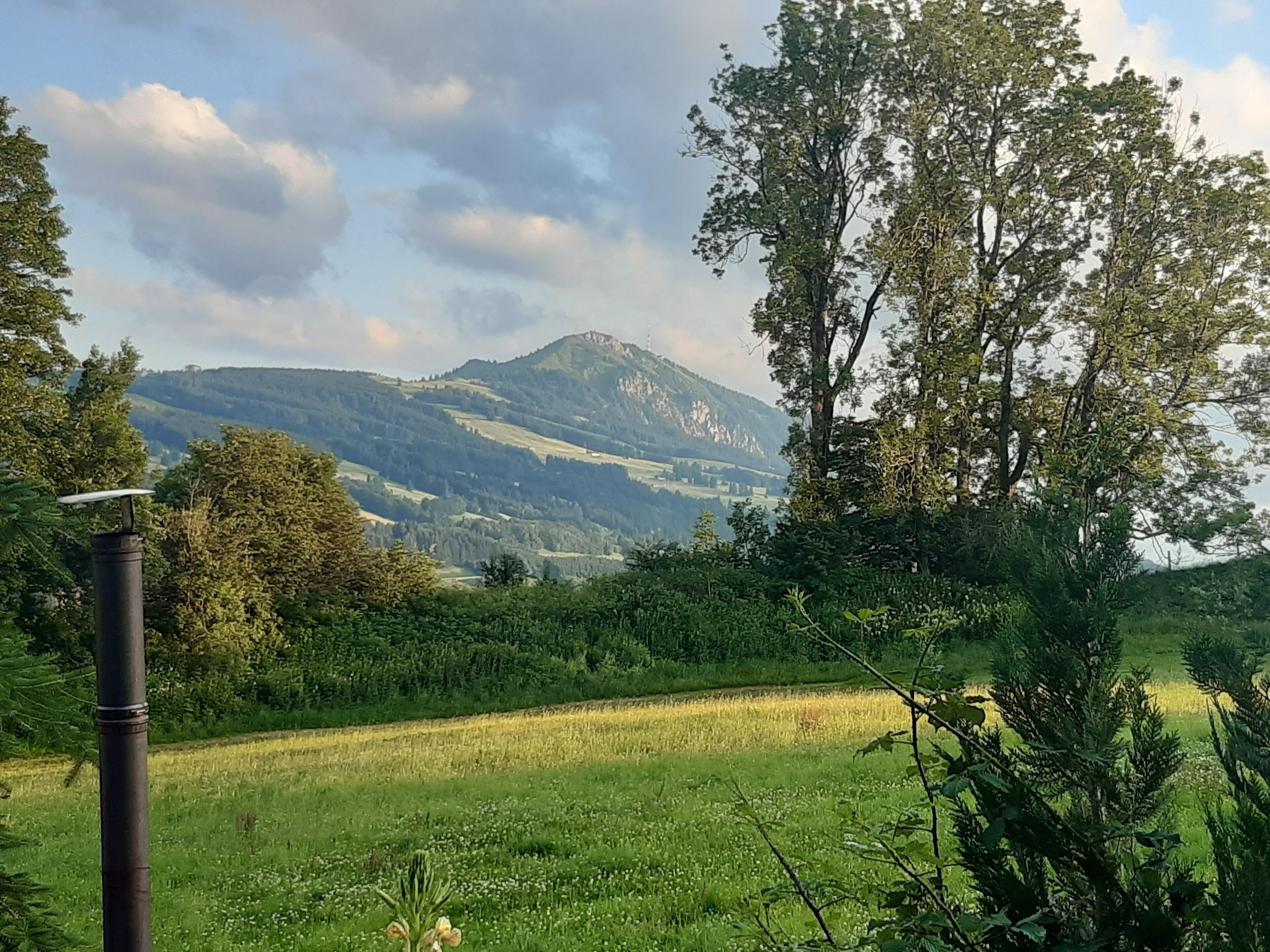 A rural landscape with a mountain in the background, a field in the foreground, and a tree with a solar panel on a pole.
