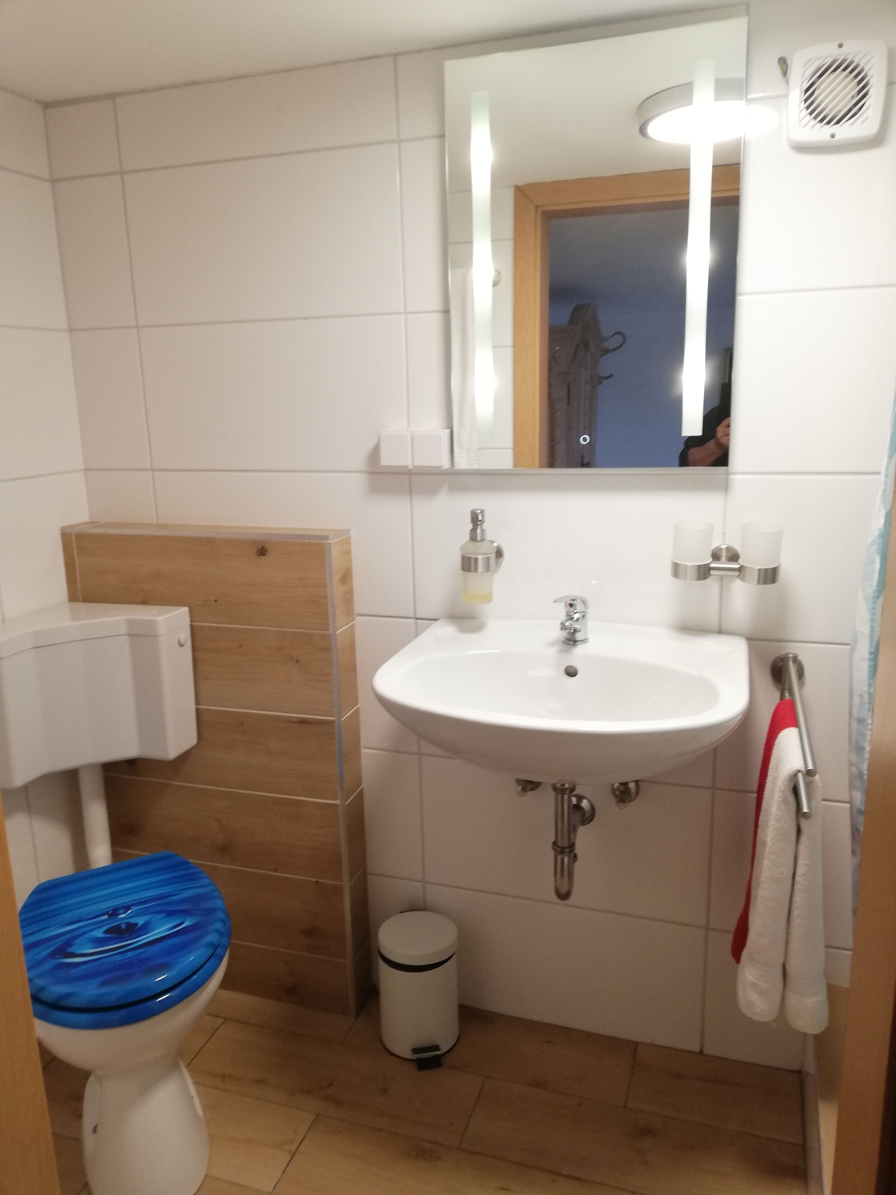 Un baño con lavamanos blanco, un espejo, un inodoro con tapa azul y un cubo de basura.