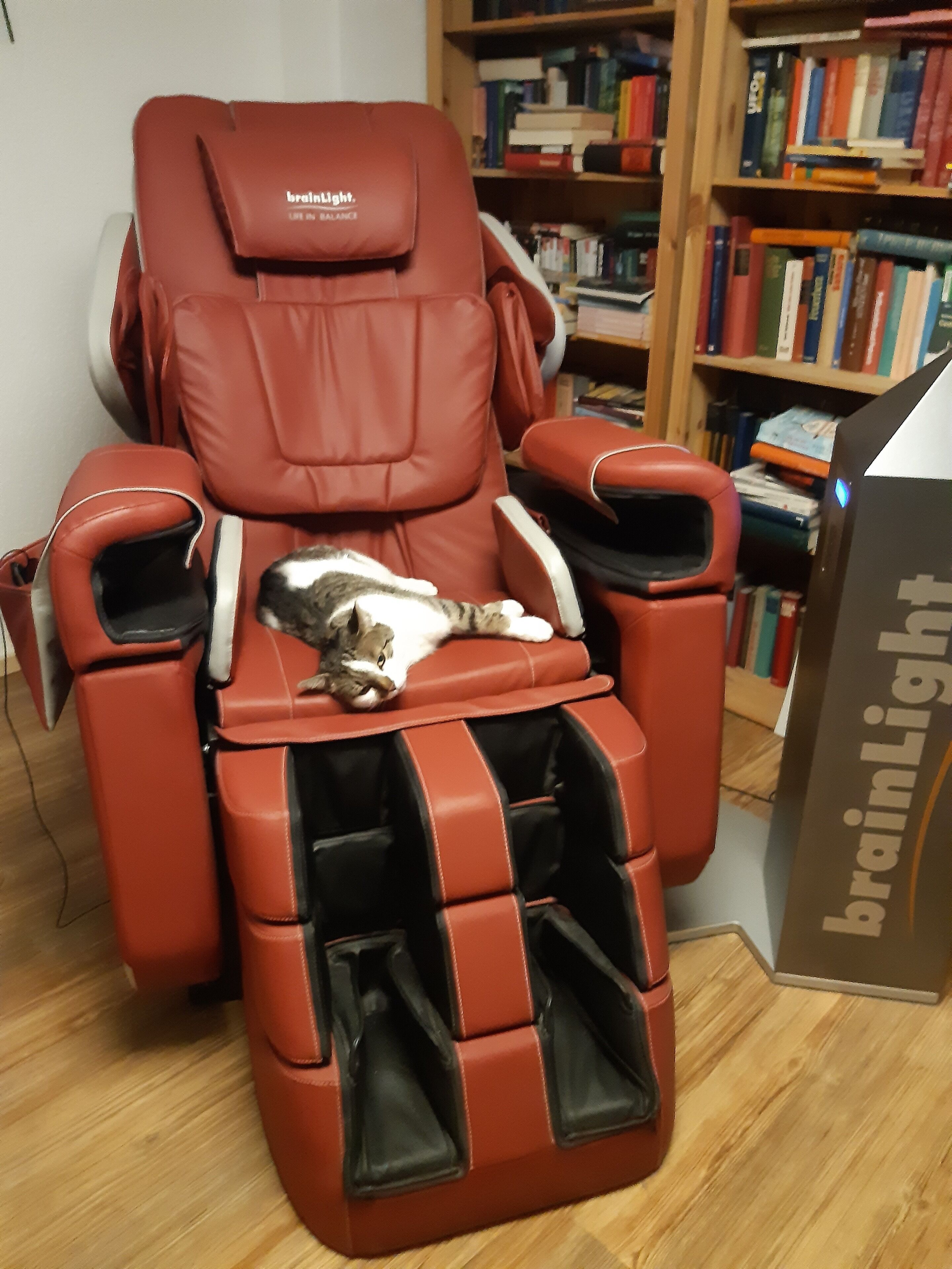 Een massagestoel waarop een kat ligt, omringd door boekenplanken.
