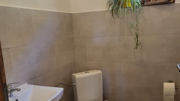 A bathroom with a toilet, sink, and a window with a plant.