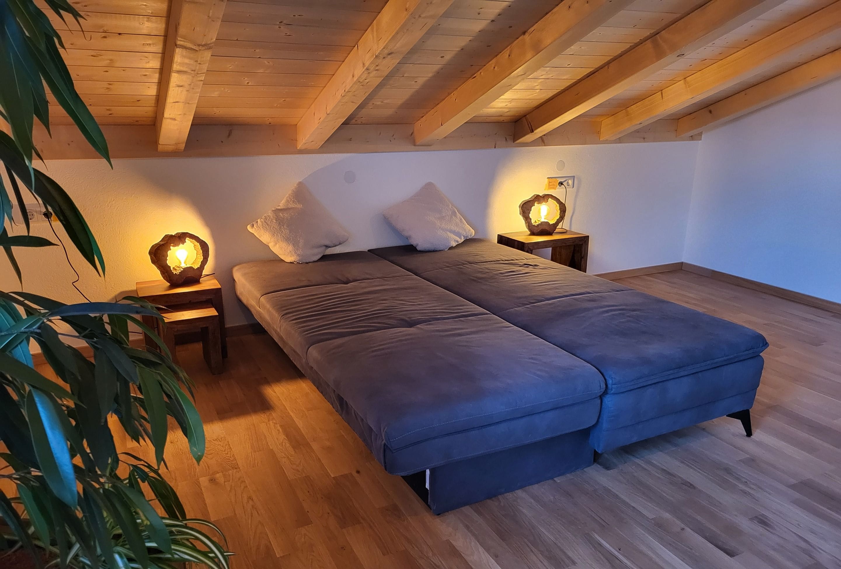 A bedroom with a bed, two bedside tables, two lamps, and a plant.