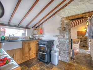 Private kitchen - 1 bedroom accommodation in Tal-y-Bont (Tal-y-Bont)